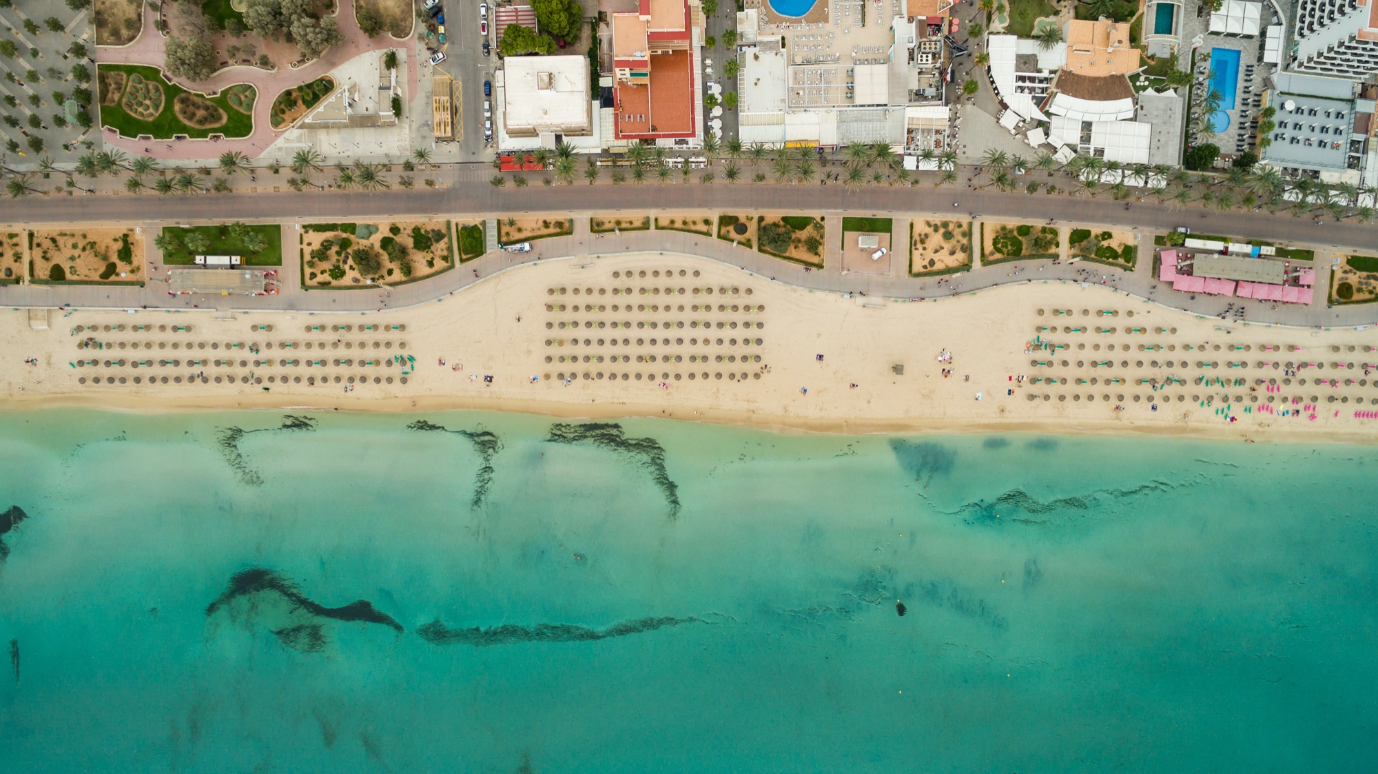 Aerial view along the Platja de Palma / s'Arenal beach, umbrellas in rows on the sand and the turquoise bay beyond
